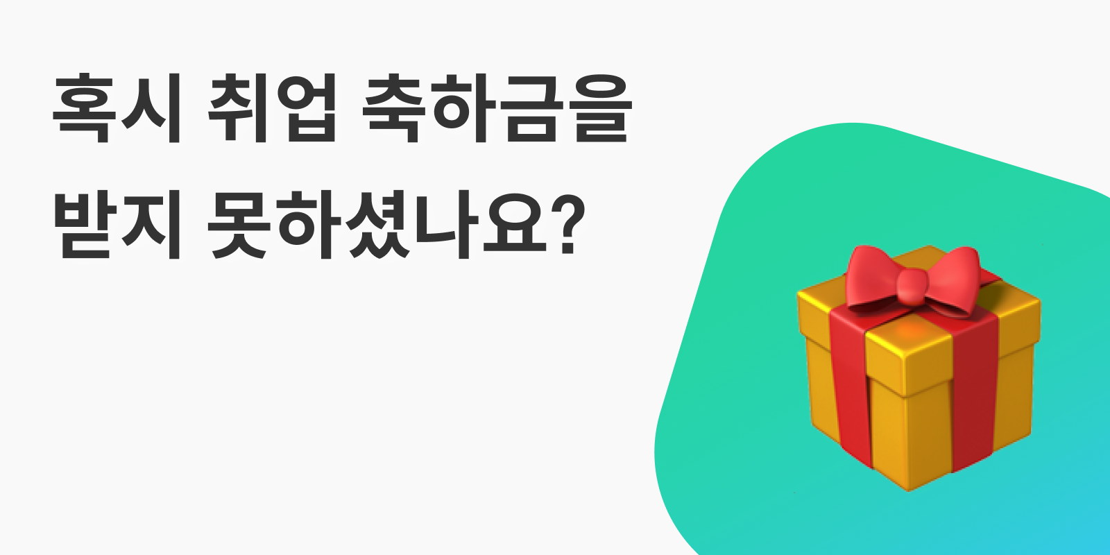 비앤제트